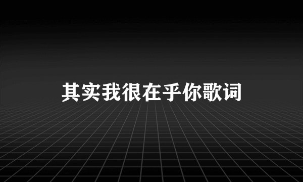 其实我很在乎你歌词
