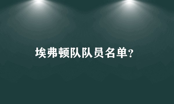 埃弗顿队队员名单？