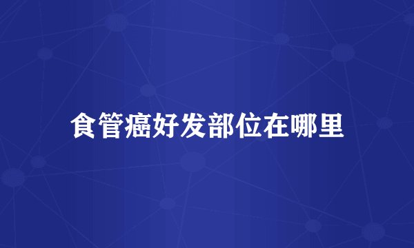 食管癌好发部位在哪里