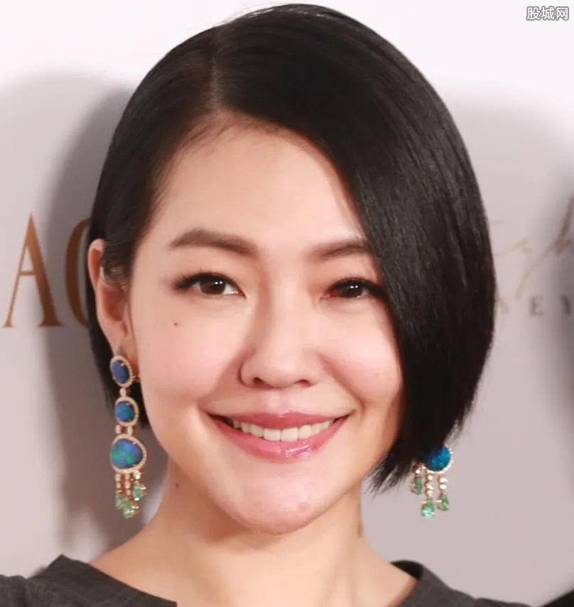 小s离婚了吗?小s老公对小s家暴了吗?