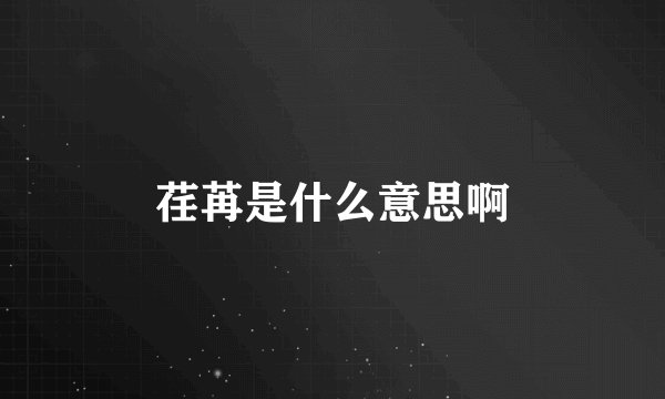 荏苒是什么意思啊