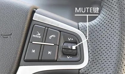 mute是什么意思?