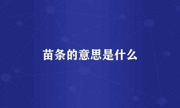 苗条的意思是什么