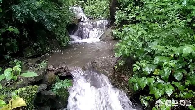 古往今来,为何隐士、修行者会首选终南山隐逸修行?