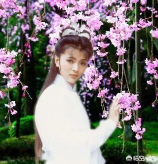 神雕侠侣版本那么多,为什么还是感觉李若彤版的小龙女最经典漂亮?
