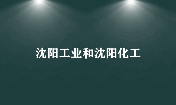 沈阳工业和沈阳化工