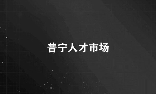 普宁人才市场