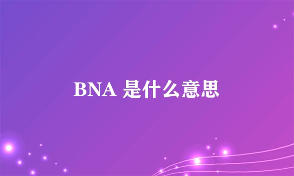 BNA 是什么意思