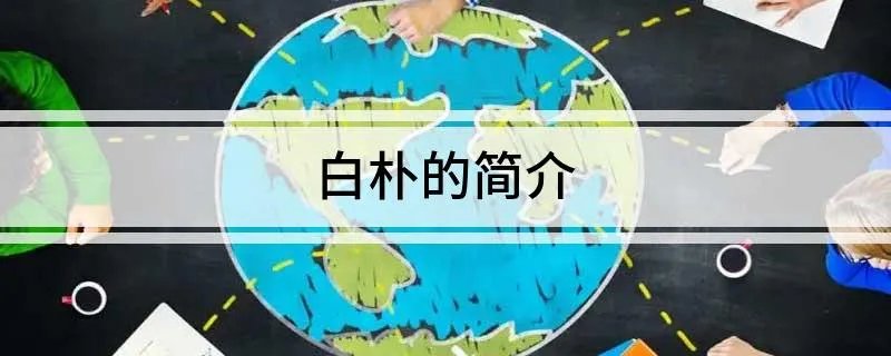 白朴的简介