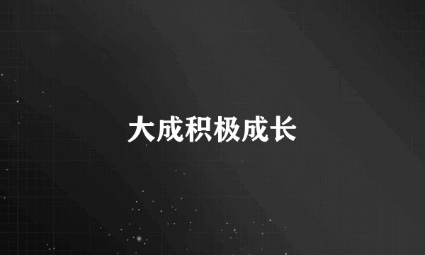 大成积极成长