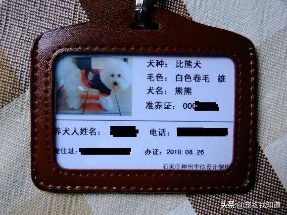 给宠物狗办证需要什么流程?有必要吗?