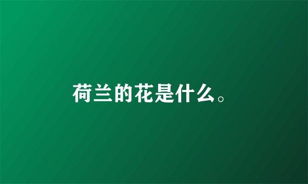 荷兰的花是什么。