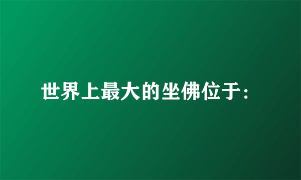世界上最大的坐佛位于：