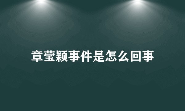 章莹颖事件是怎么回事