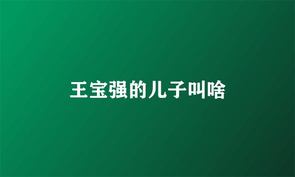 王宝强的儿子叫啥