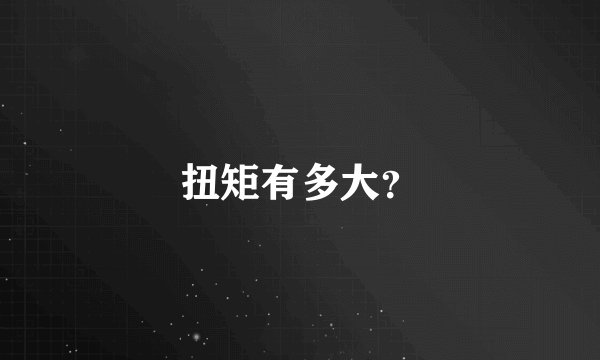 扭矩有多大？