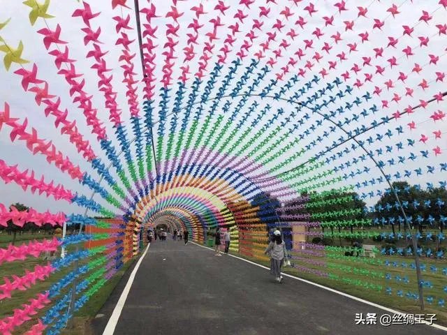春天已在路上,疫情还会远吗?