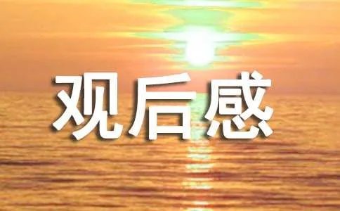《绝世天劫》观后感
