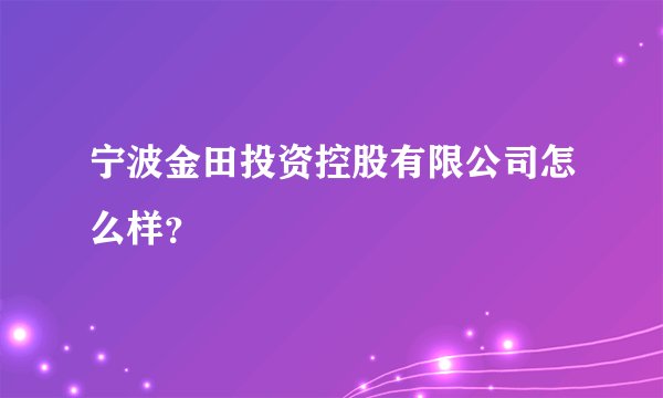 宁波金田投资控股有限公司怎么样？