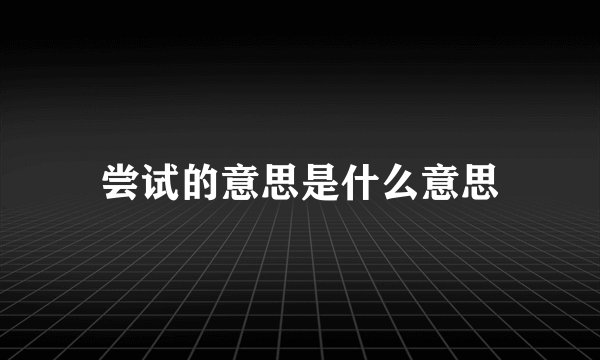 尝试的意思是什么意思
