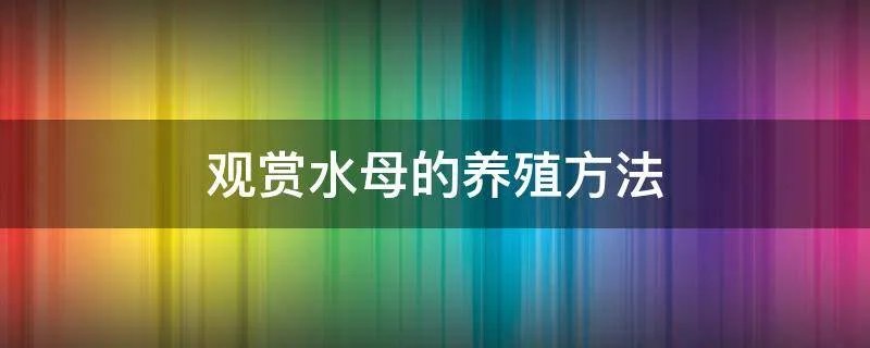观赏水母的养殖方法