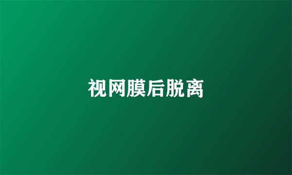 视网膜后脱离