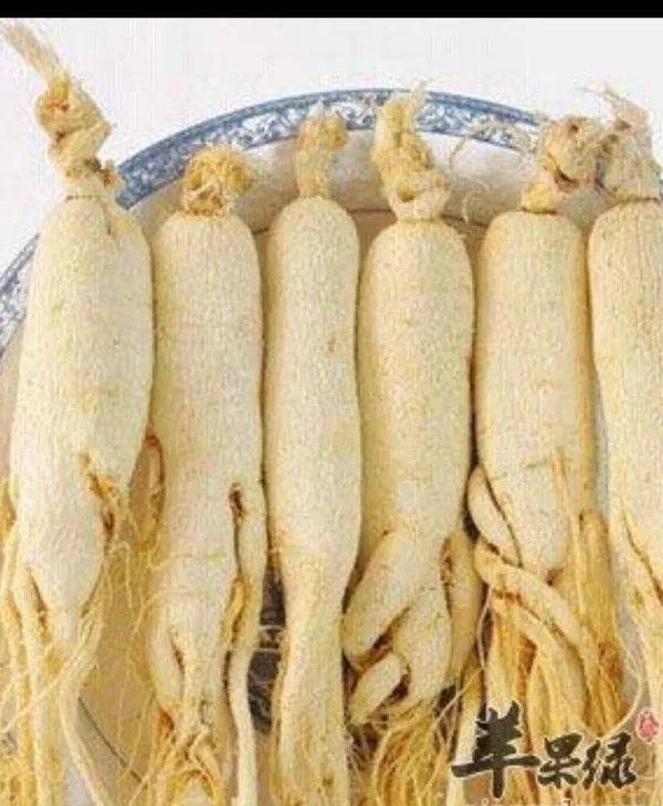 血虚吃什么好?