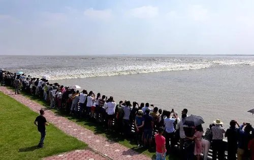 围观钱塘江大潮撞坝,观潮需要注意哪些问题?