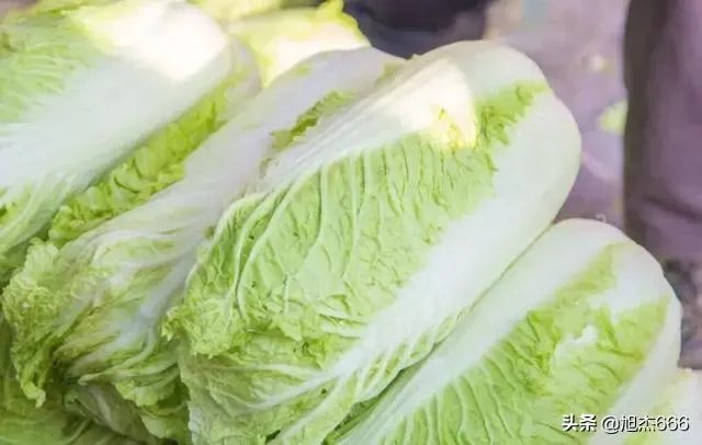 怎样腌酸菜?