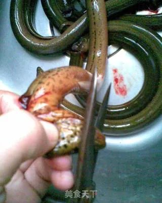 红烧黄鳝