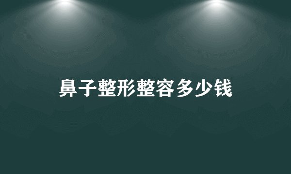 鼻子整形整容多少钱