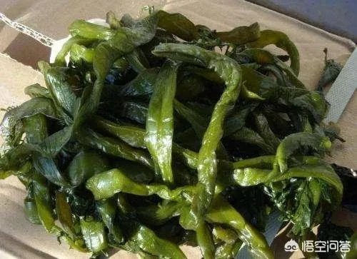 海菠菜的功效有哪些？