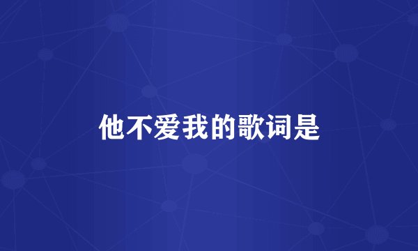 他不爱我的歌词是