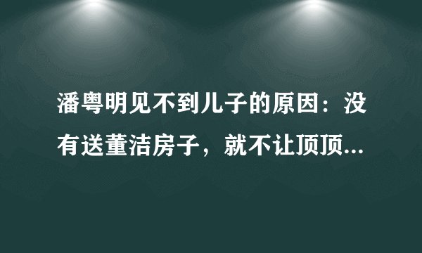 潘粤明见不到儿子的原因:没有送董洁房子,就不让顶顶认祖归宗