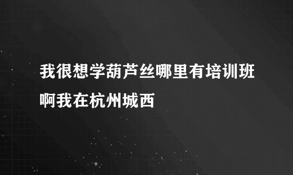 我很想学葫芦丝哪里有培训班啊我在杭州城西