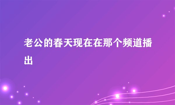 老公的春天现在在那个频道播出