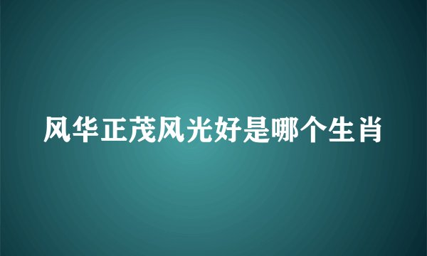 风华正茂风光好是哪个生肖