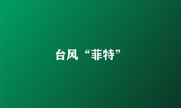 台风“菲特”