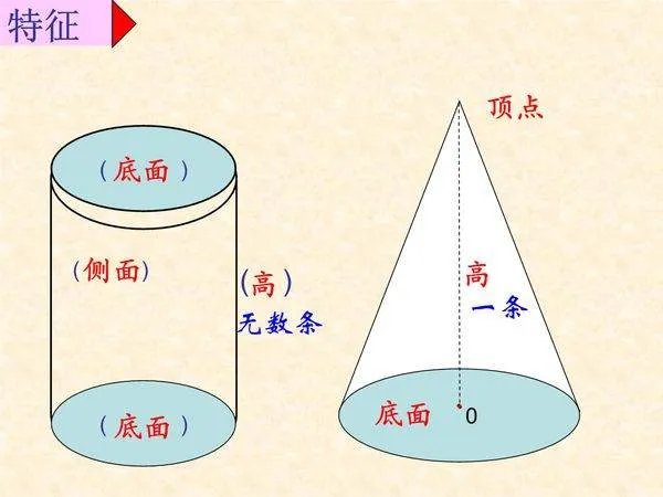 圆柱与圆锥有哪些区别?