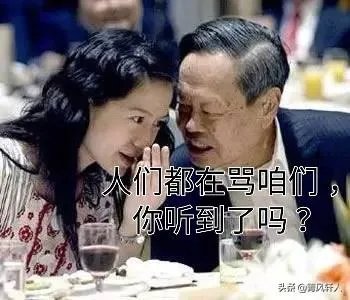 翁帆为何会嫁给杨振宁?