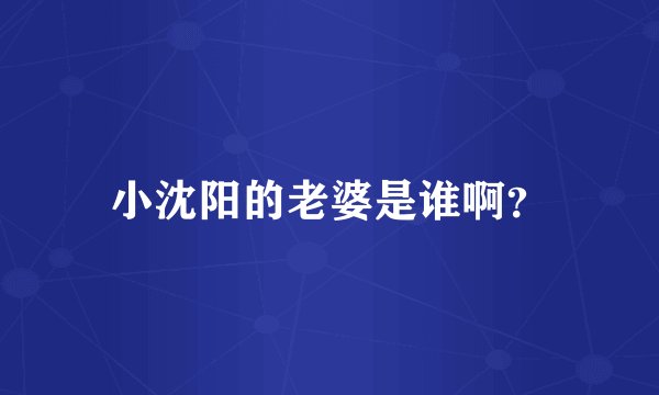 小沈阳的老婆是谁啊？
