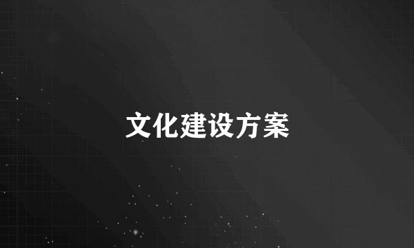 文化建设方案