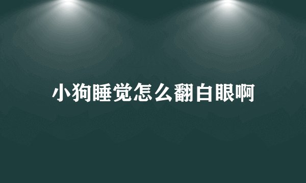 小狗睡觉怎么翻白眼啊