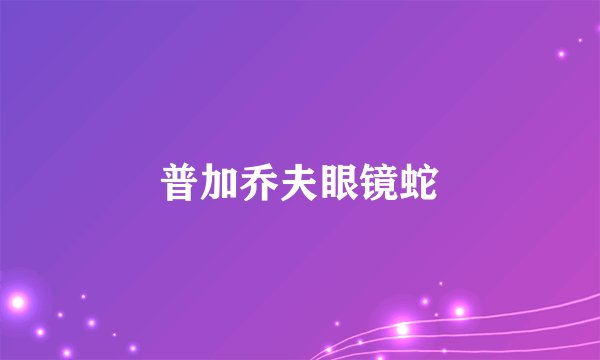 普加乔夫眼镜蛇
