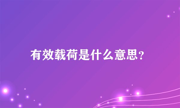 有效载荷是什么意思?
