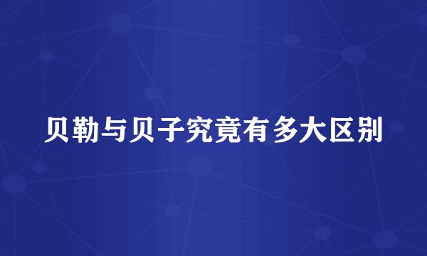 贝勒与贝子究竟有多大区别
