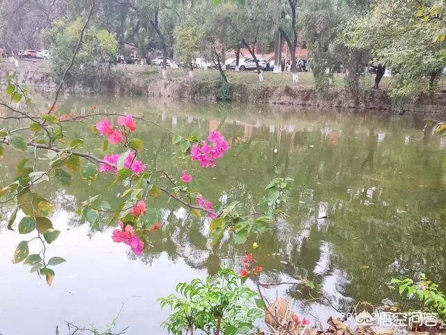 广东有哪些比较好的高职院校?
