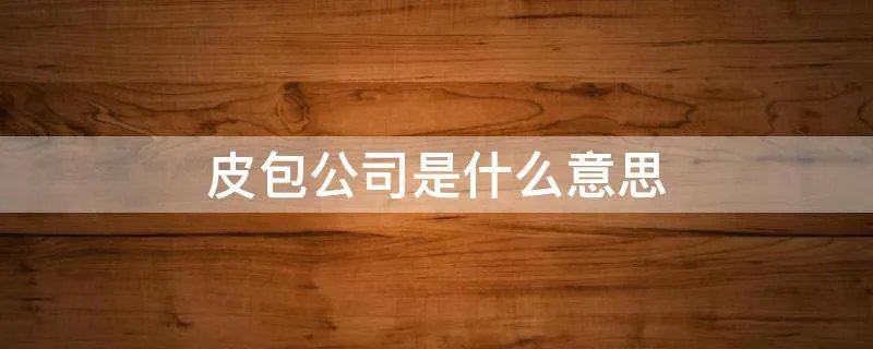 皮包公司是什么意思
