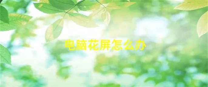 电脑花屏怎么办