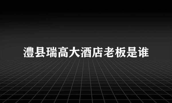 澧县瑞高大酒店老板是谁